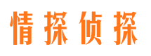 于田侦探